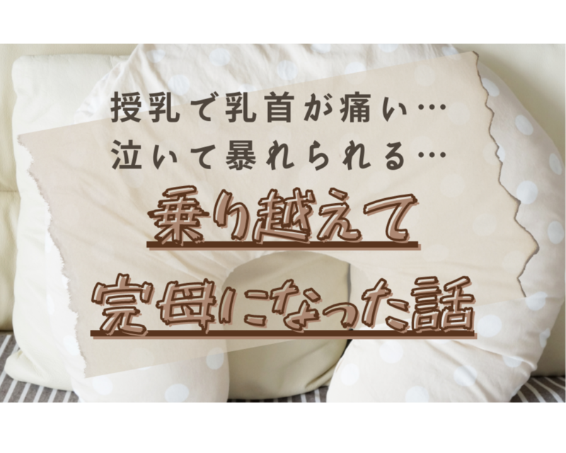 授乳で乳首が痛い 泣いて暴れる 全部乗り越えて完母になった話 かえる ブログ