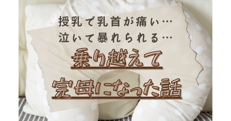 授乳で乳首が痛い 泣いて暴れる 全部乗り越えて完母になった話 かえる ブログ