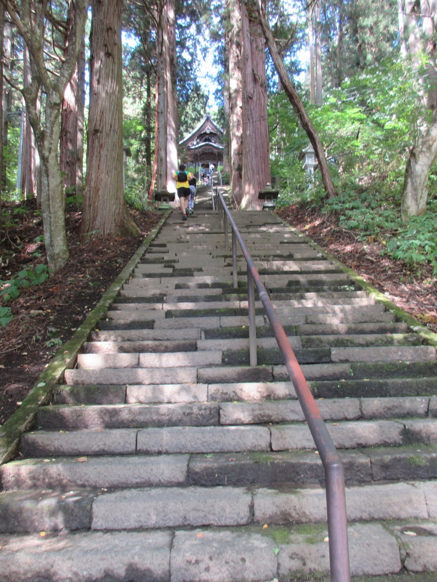 f:id:KAHOSHI:20191019235142j:plain f:id:KAHOSHI:20191019235142j:plain