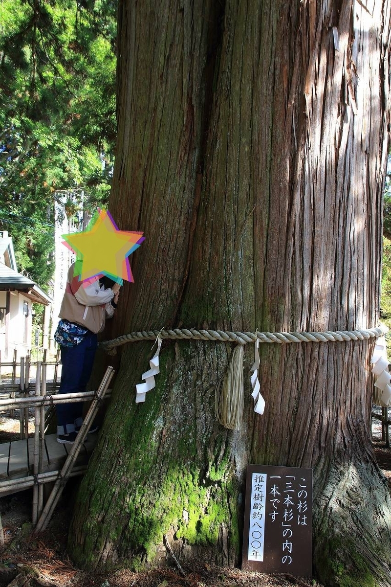 f:id:KAHOSHI:20191020003027j:plain f:id:KAHOSHI:20191020003027j:plain