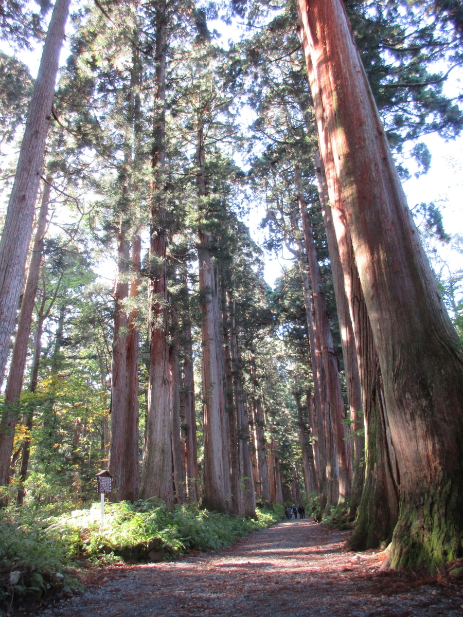 f:id:KAHOSHI:20191020005928j:plain f:id:KAHOSHI:20191020005928j:plain