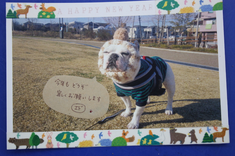 f:id:KAIdoubutubyouin:20170403191247j:plain f:id:KAIdoubutubyouin:20170403191247j:plain