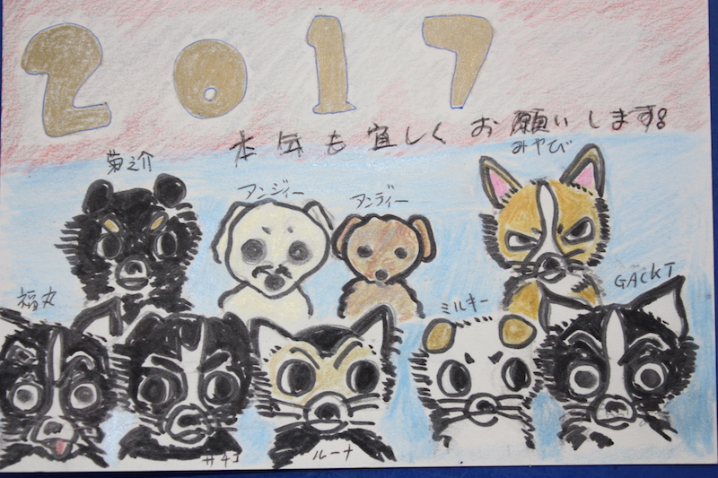 f:id:KAIdoubutubyouin:20170403193734j:plain f:id:KAIdoubutubyouin:20170403193734j:plain