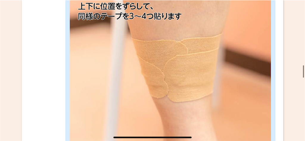 f:id:KAKERUSHO:20210325010007p:image f:id:KAKERUSHO:20210325010007p:image