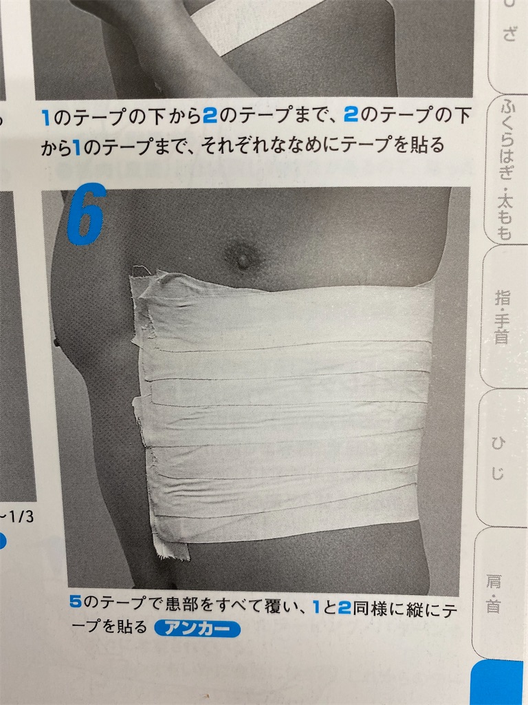 f:id:KAKERUSHO:20210325201352j:image f:id:KAKERUSHO:20210325201352j:image