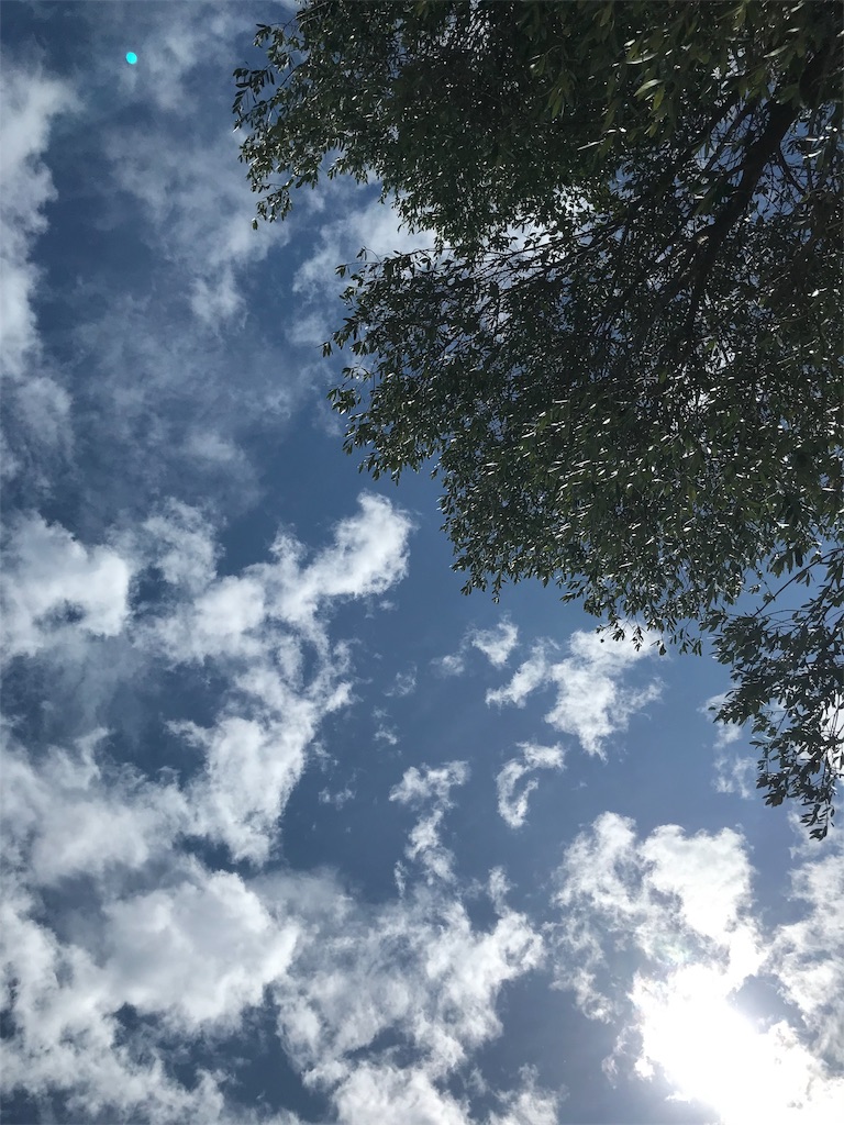 f:id:KAKINOTANE:20190821030805j:image f:id:KAKINOTANE:20190821030805j:image