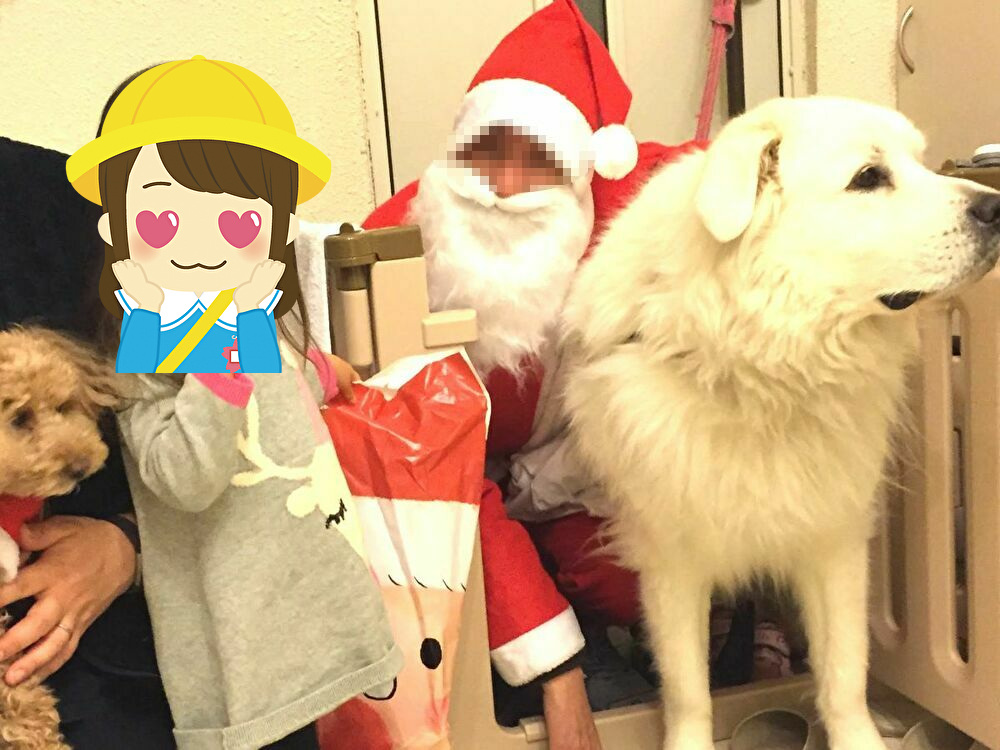 f:id:KAMP-Yokohama:20191204102014j:plain