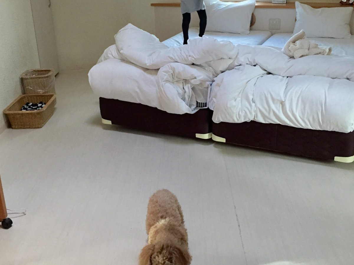 f:id:KAMP-Yokohama:20191204105749j:plain