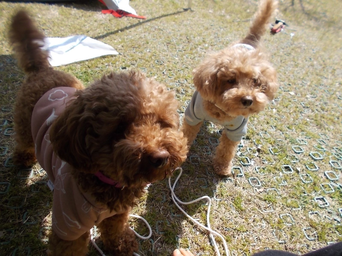f:id:KAMP-Yokohama:20200425084109j:plain