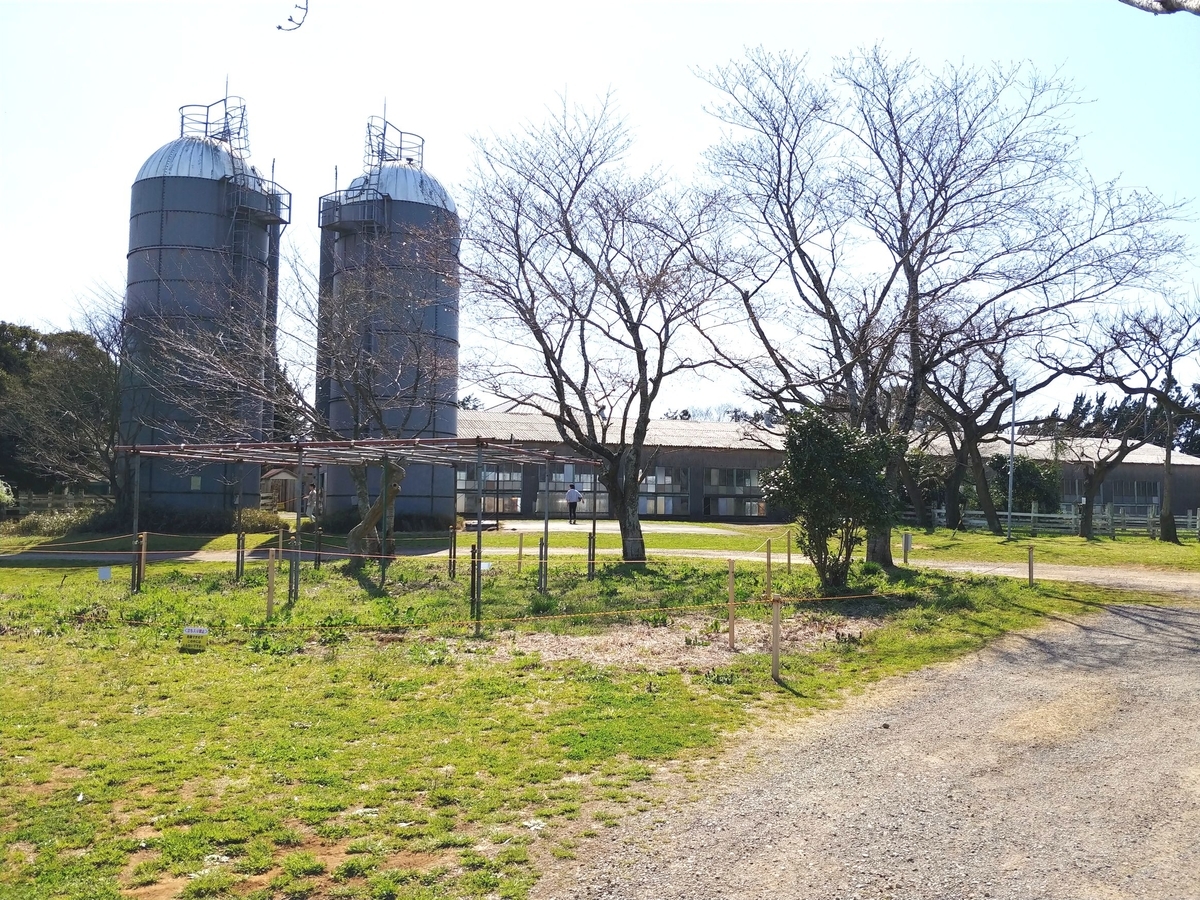 f:id:KAMP-Yokohama:20200518053458j:plain