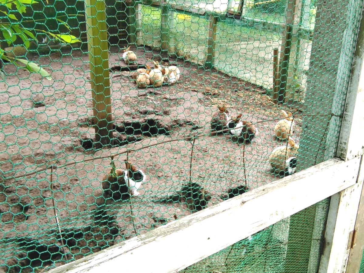 f:id:KAMP-Yokohama:20200518061159j:plain