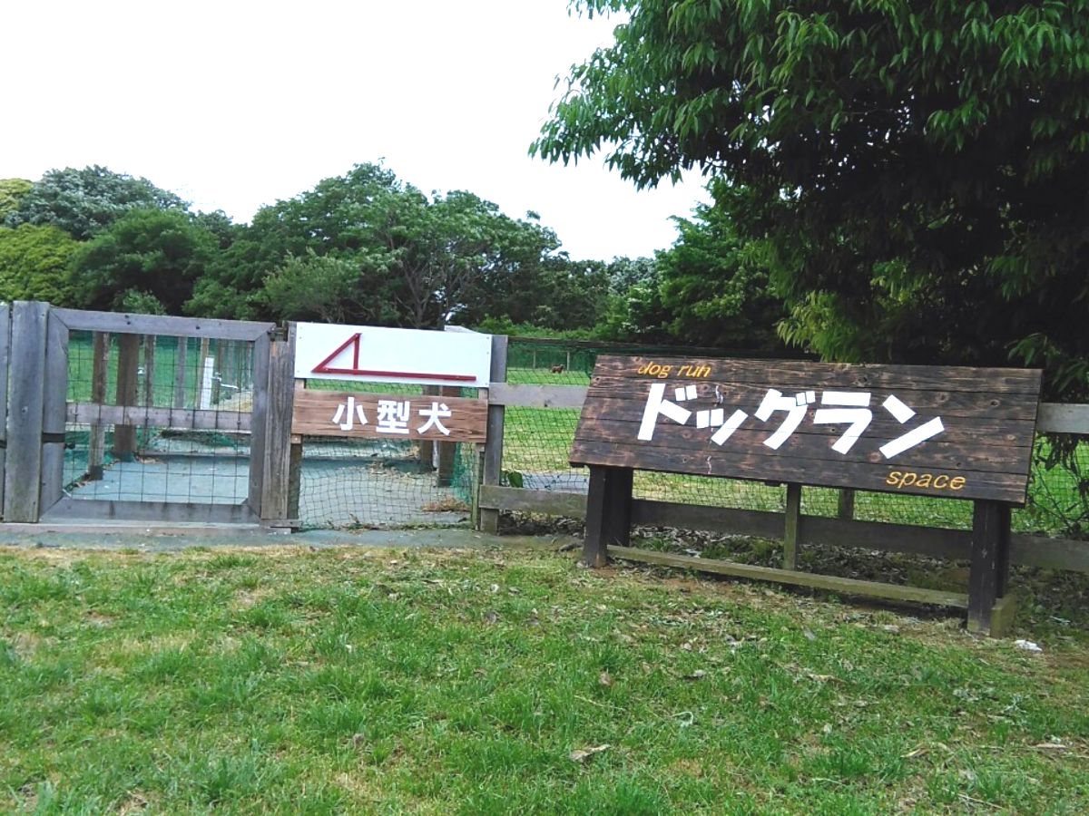 f:id:KAMP-Yokohama:20200518061345j:plain