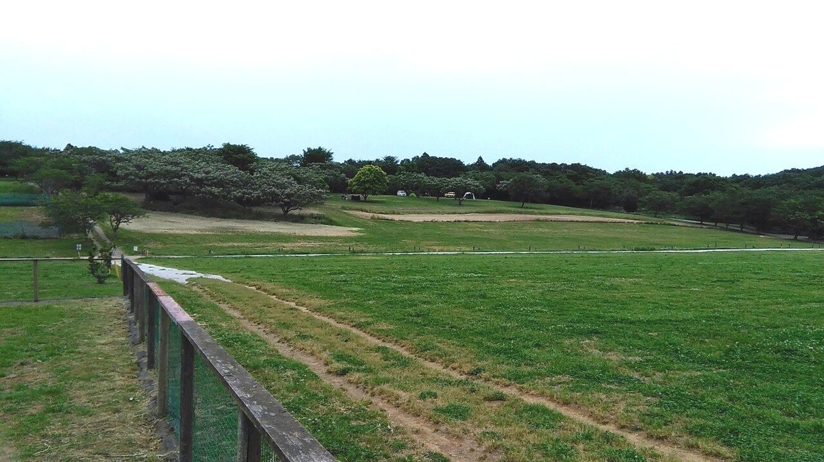 f:id:KAMP-Yokohama:20200518102442j:plain