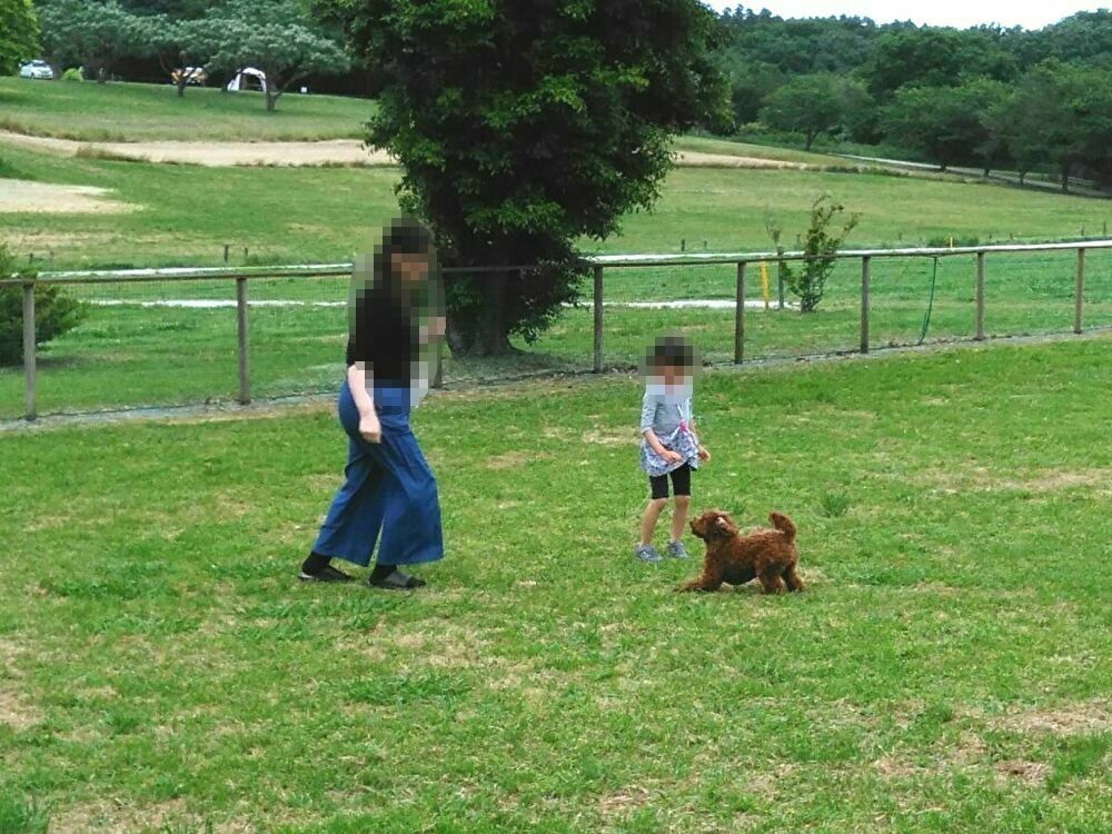 f:id:KAMP-Yokohama:20200518183527j:plain