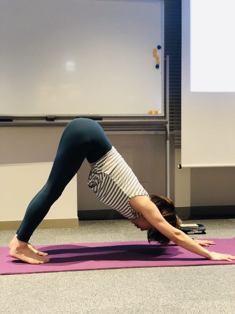 楽しすぎた Athlete Yoga Vol 4 Kanayoga S Diary 楽しすぎた Athlete Yoga Vol 4 Kanayoga S Diary