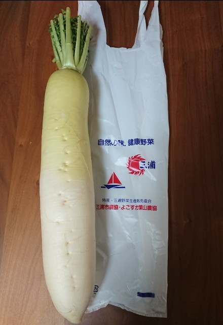 f:id:KANAYOGA:20190304193816j:image f:id:KANAYOGA:20190304193816j:image