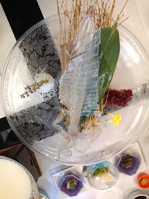 f:id:KANAYOGA:20190415170502j:image