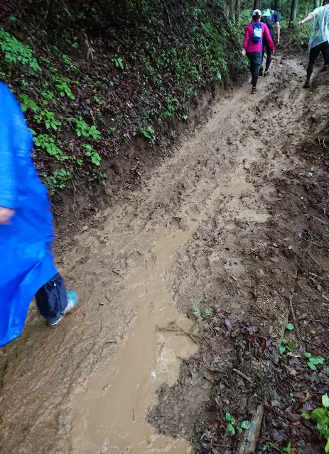f:id:KANAYOGA:20190610045010j:image