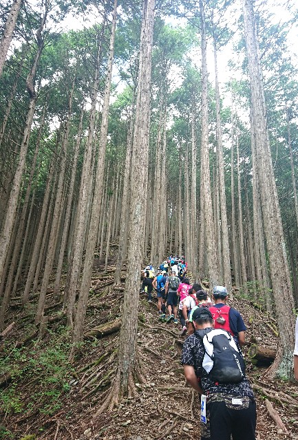 f:id:KANAYOGA:20190910051111j:image