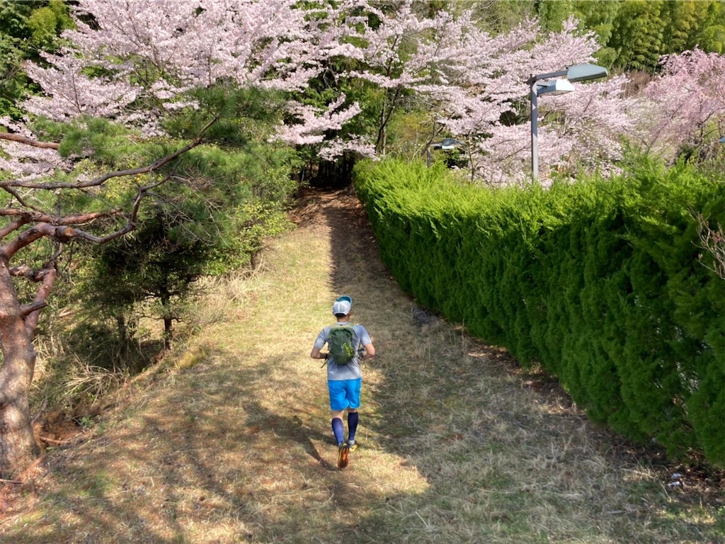 f:id:KANAYOGA:20220410163100j:image