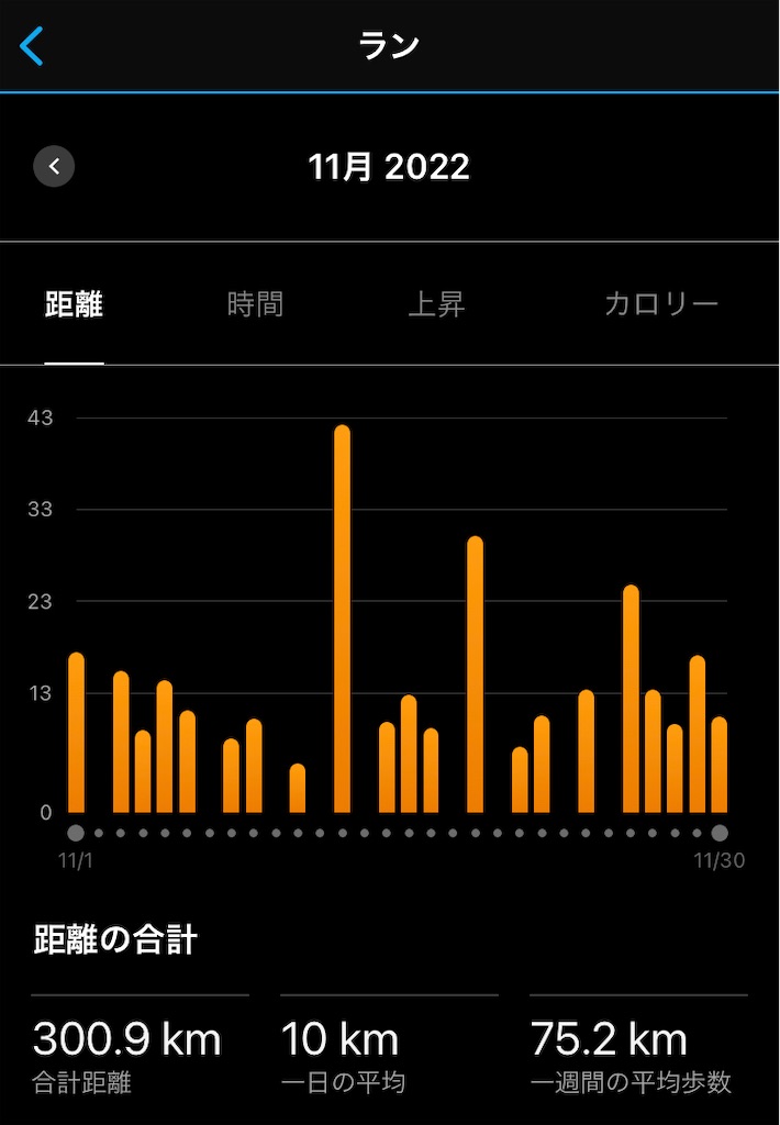 f:id:KANAYOGA:20221130182626j:image f:id:KANAYOGA:20221130182626j:image