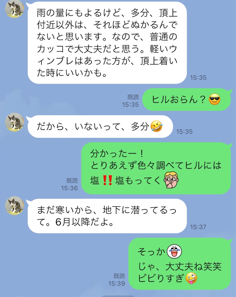 f:id:KANAYOGA:20230502225427j:image