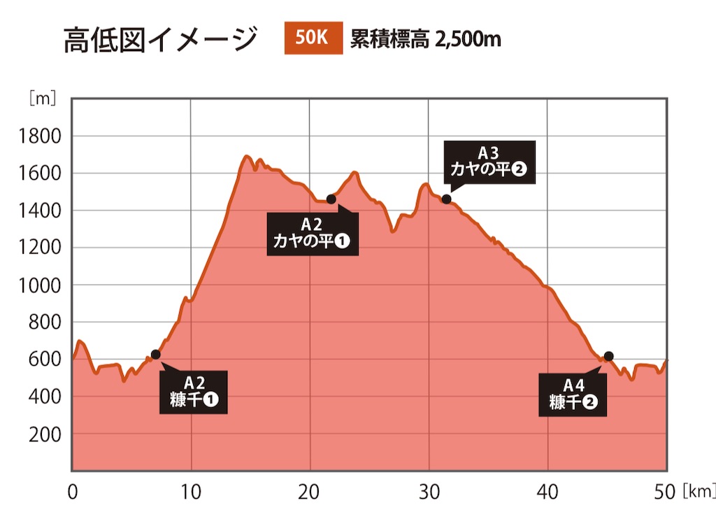 f:id:KANAYOGA:20240612045737j:image