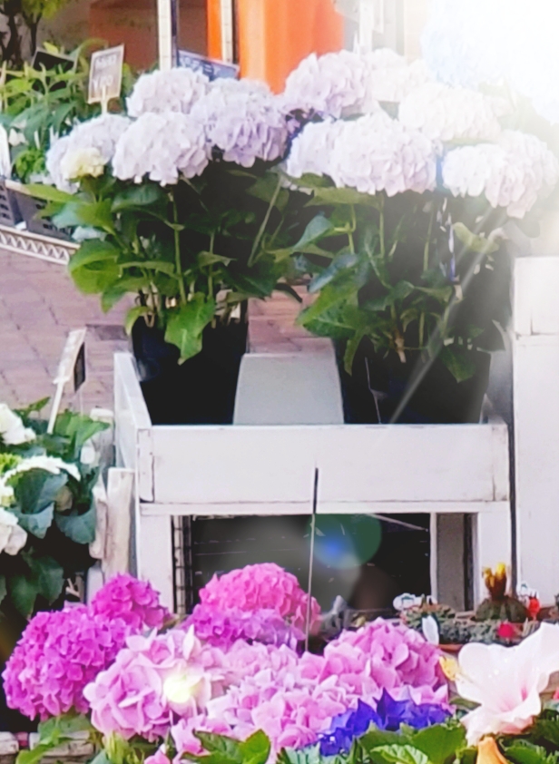 f:id:KANA_KANA:20200603192421j:plain f:id:KANA_KANA:20200603192421j:plain