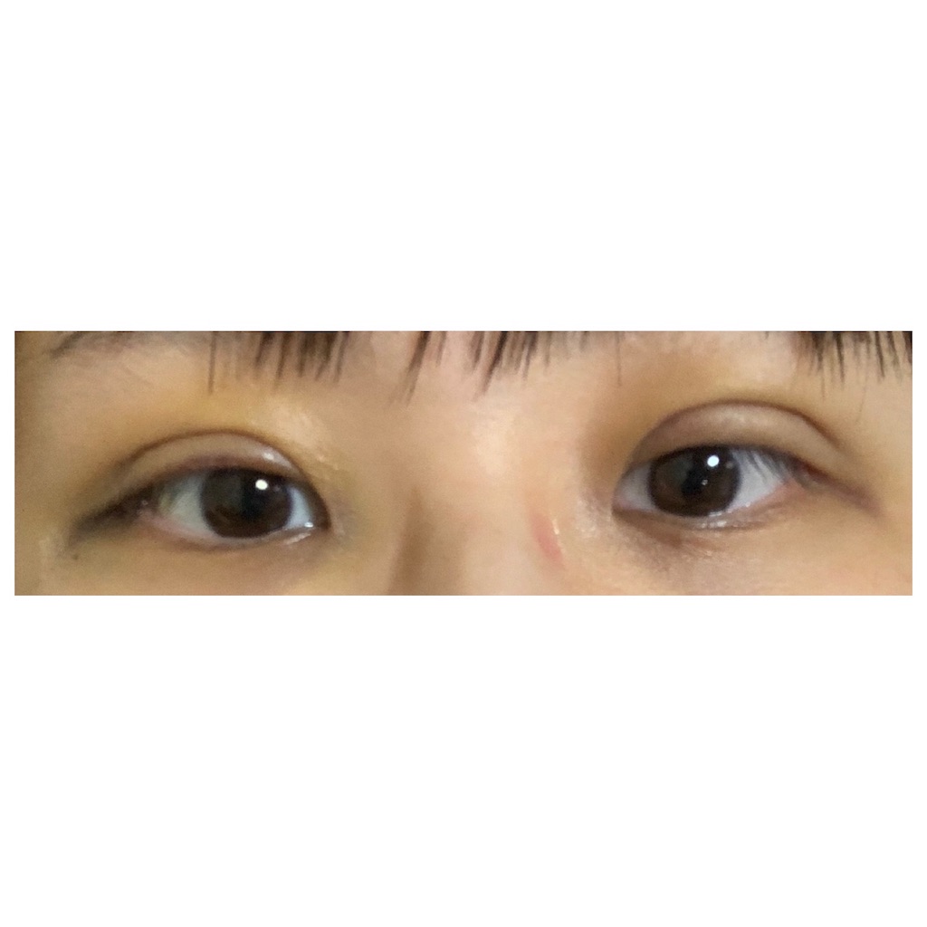 f:id:KAPURIKO:20210131234823j:image f:id:KAPURIKO:20210131234823j:image