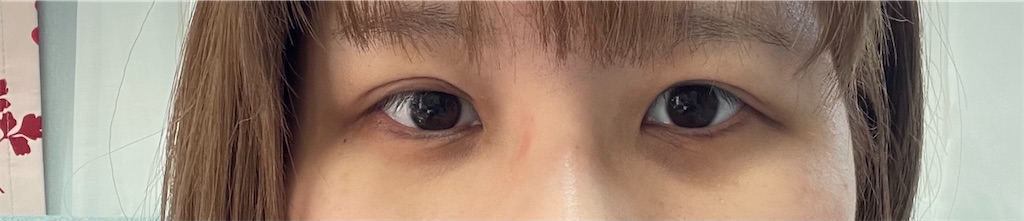 f:id:KAPURIKO:20210131235945j:image f:id:KAPURIKO:20210131235945j:image