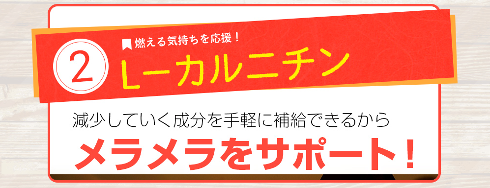 f:id:KARADA:20190928203039p:plain