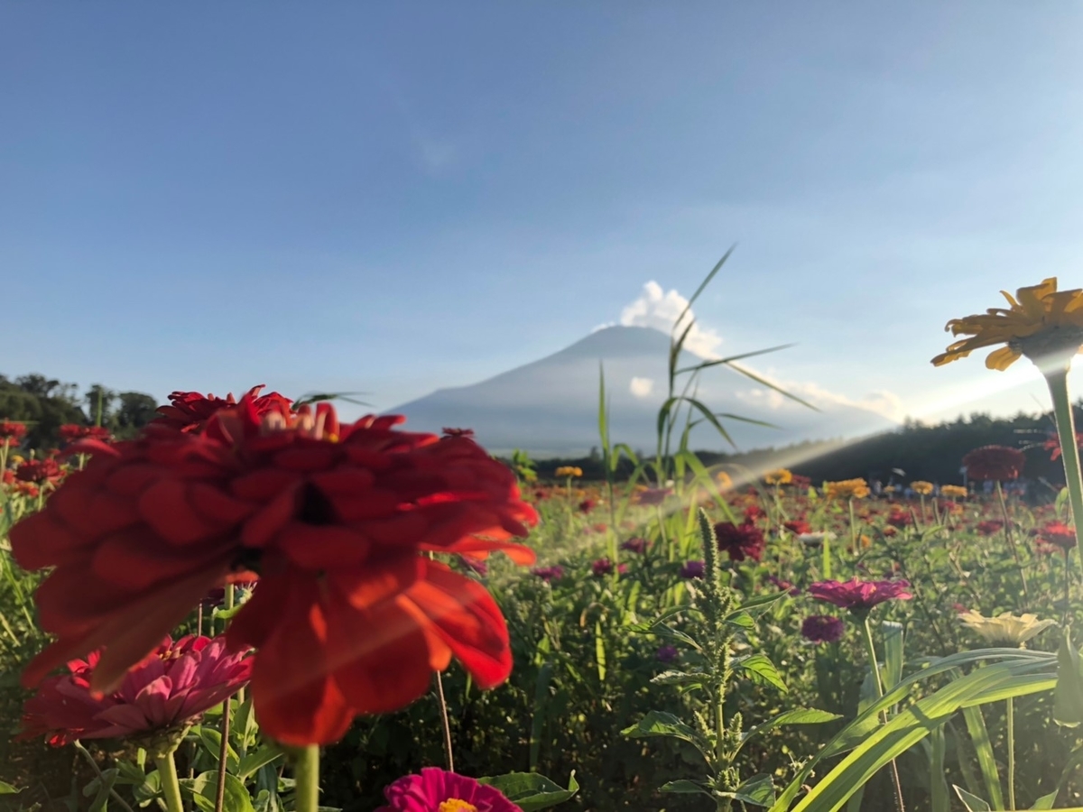 f:id:KARADAreform:20190824170156j:plain f:id:KARADAreform:20190824170156j:plain