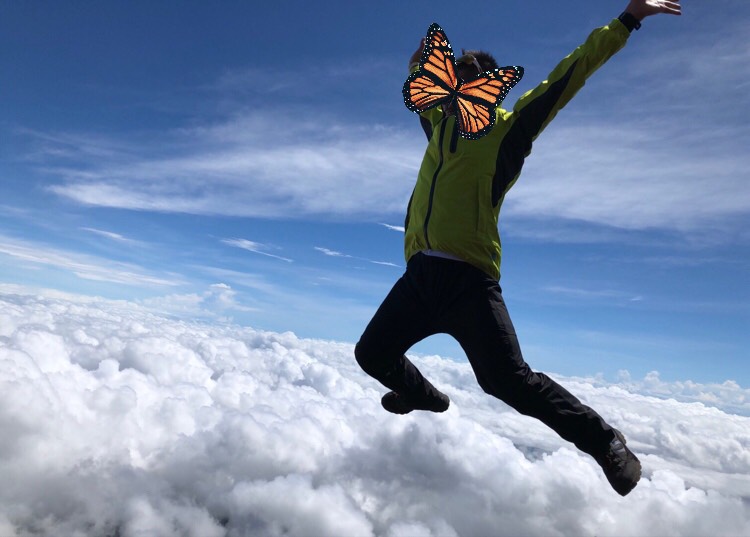 f:id:KARADAreform:20190830115535j:plain