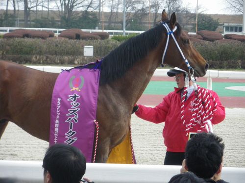 ヤマミダンスは現時点で 東海ダービー 最有力候補 粕本集呆の馬事放言