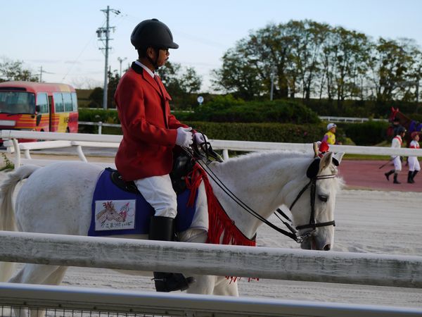 エクスペルテ、ウィニー、塚本幸典氏の引退 - 粕本集呆の「競馬の花道」