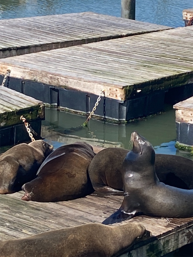 f:id:KATE_USA:20240324164740j:image f:id:KATE_USA:20240324164740j:image