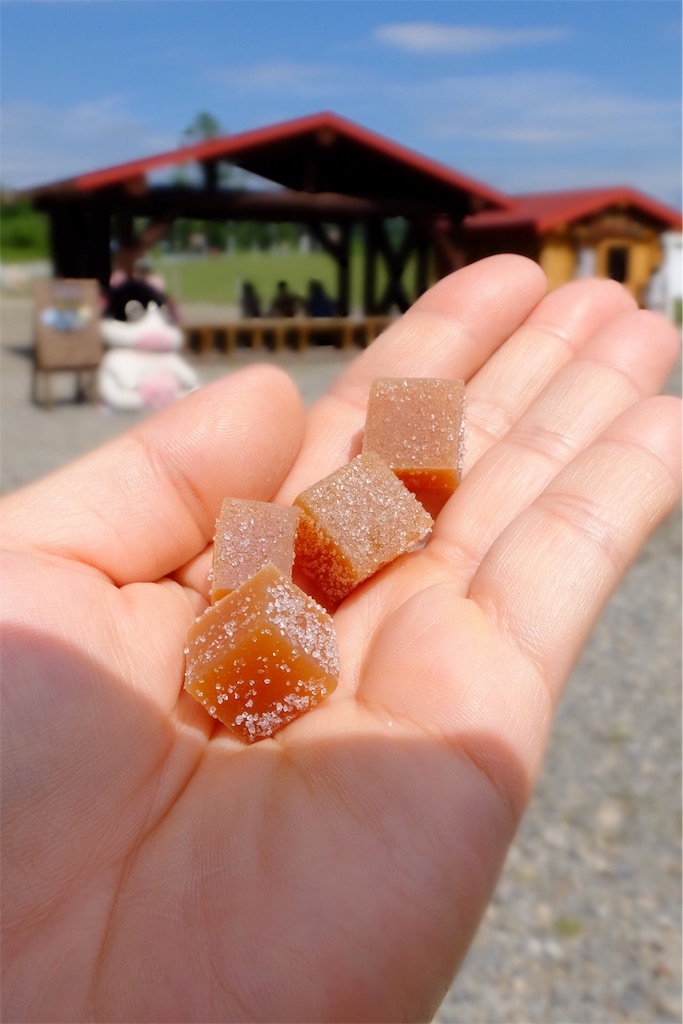 f:id:KATOMI:20180816214237j:image