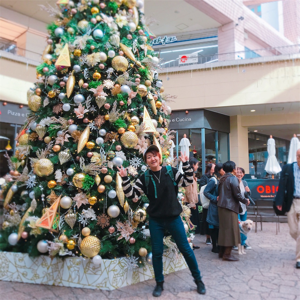 f:id:KATOMI:20181117170205j:image f:id:KATOMI:20181117170205j:image