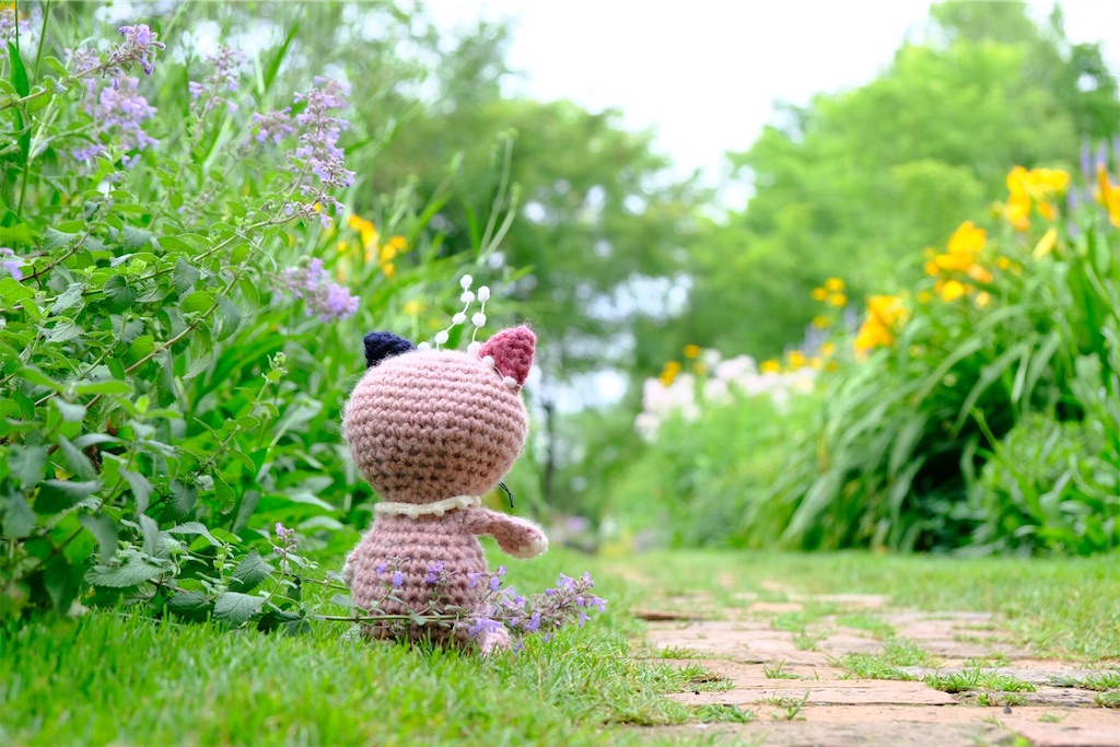 f:id:KATOMI:20190720193854j:image