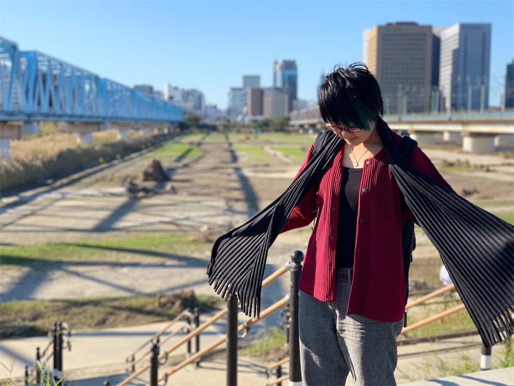 f:id:KATOMI:20191116081014j:image