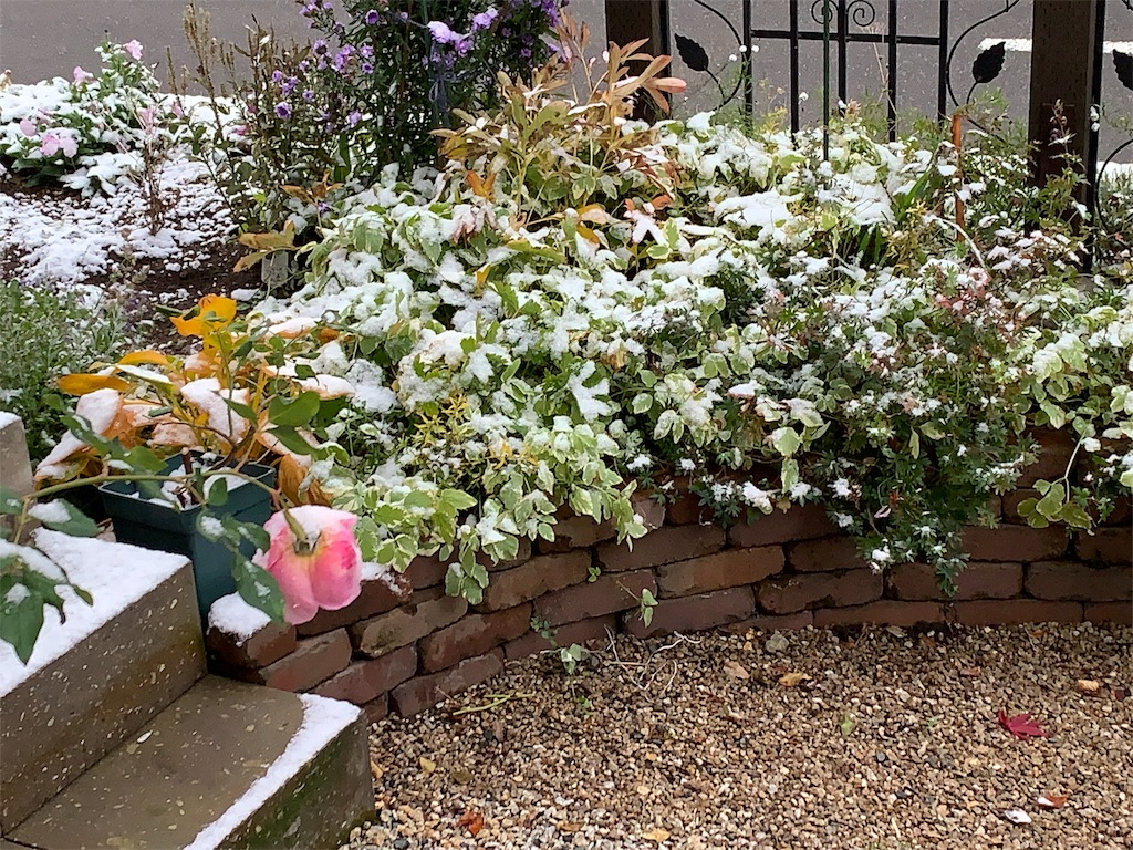 f:id:KATOMI:20191116085219j:image