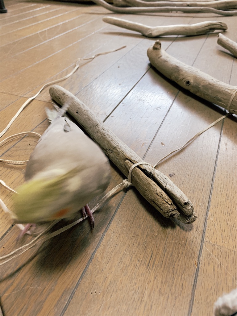 f:id:KATOMI:20200506194837j:image