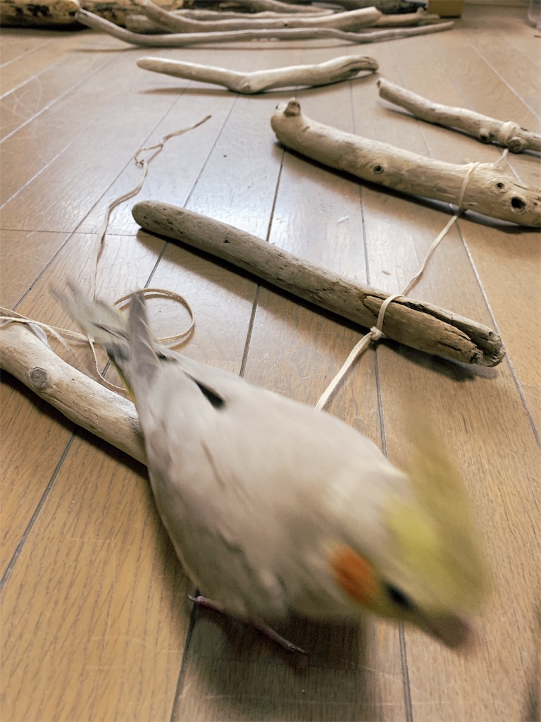 f:id:KATOMI:20200506194844j:image