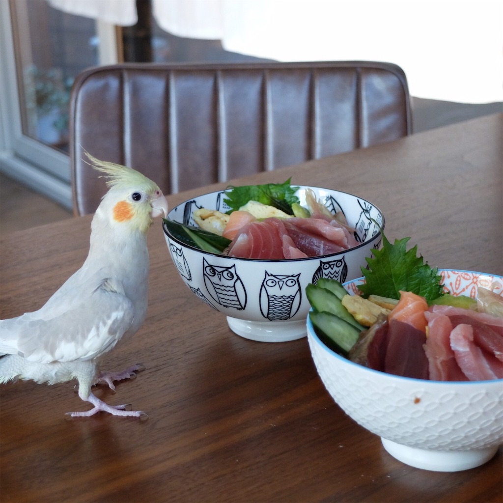 f:id:KATOMI:20200530223035j:image