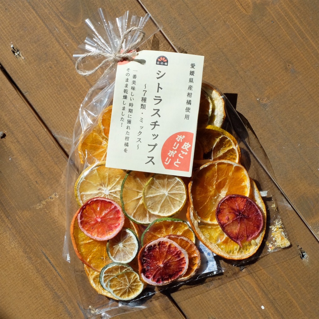 f:id:KATOMI:20200531210832j:image