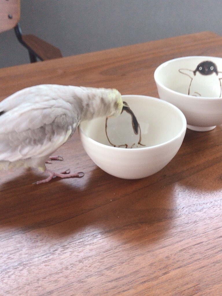 f:id:KATOMI:20200714222121j:image