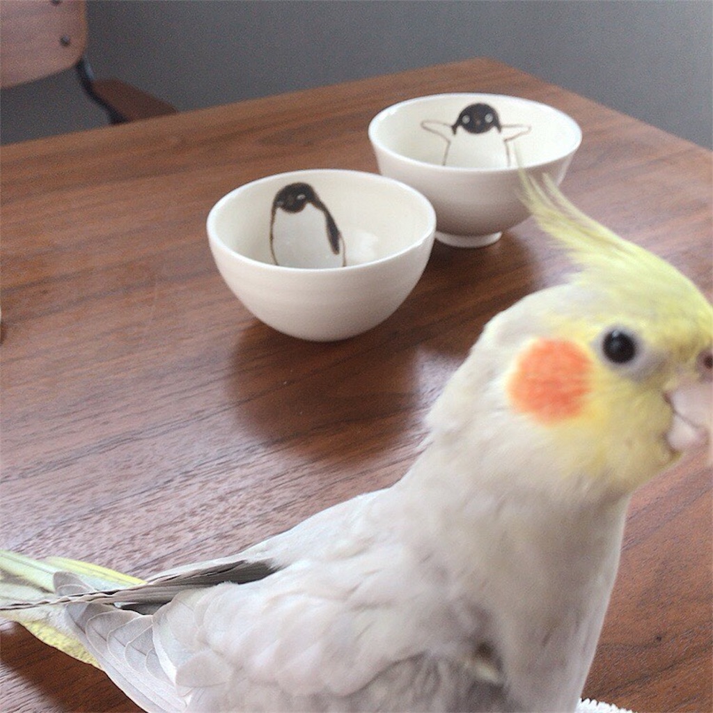 f:id:KATOMI:20200714222133j:image
