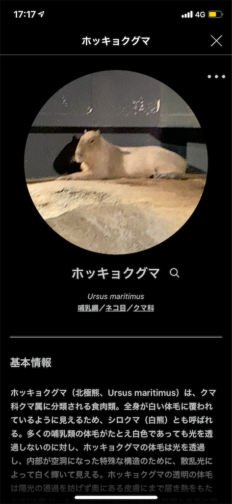 f:id:KATOMI:20201031172552p:image