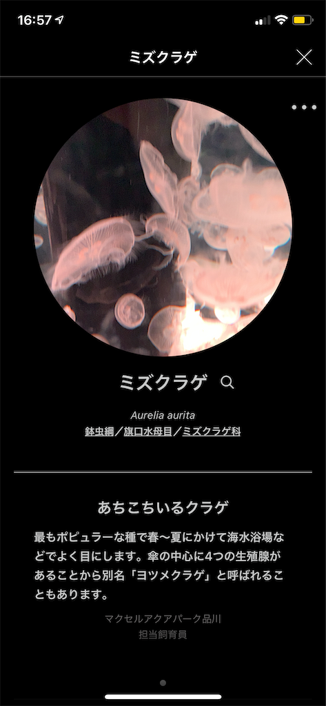 f:id:KATOMI:20201031172652p:image