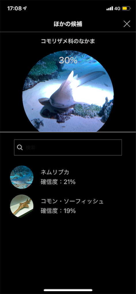 f:id:KATOMI:20201031172659p:image